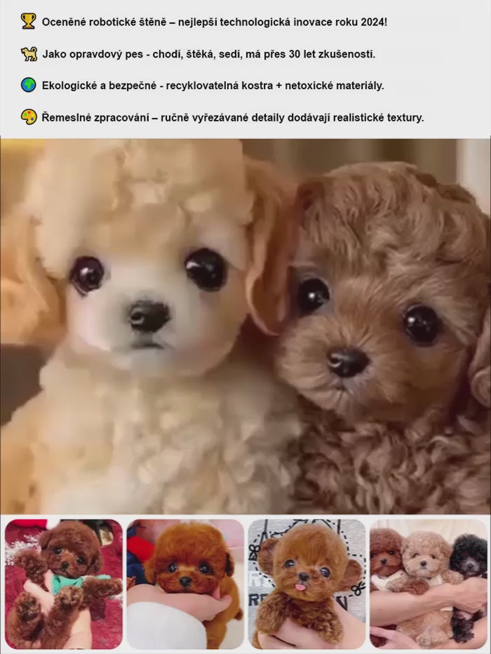 Revoluční robotický pejsek – váš nový nejlepší přítel! 🐶🤖